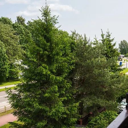 Nord * 亚斯塔尔尼亚